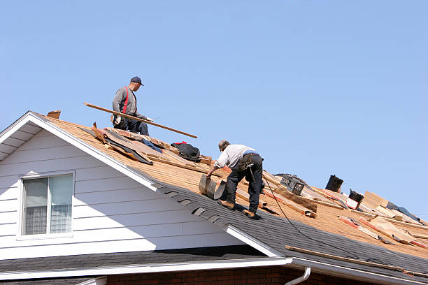 Best Roof Ventilation Installation  in Slater, MO